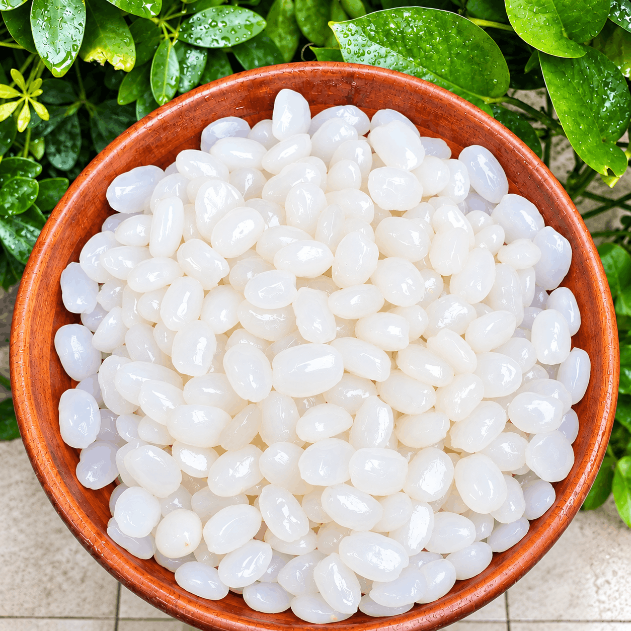 Hạt đác tươi Tanafarm (Túi 1kg) - Ảnh 5